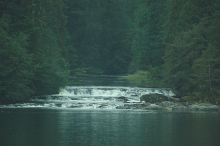 Inside Passage Spirit Bear Waterfall-2